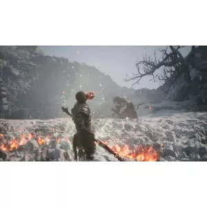 PS5 Black Myth: Wukong