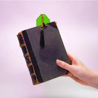 Merchandise razno - Wicked - Glinda And Elphaba Bookmark Set