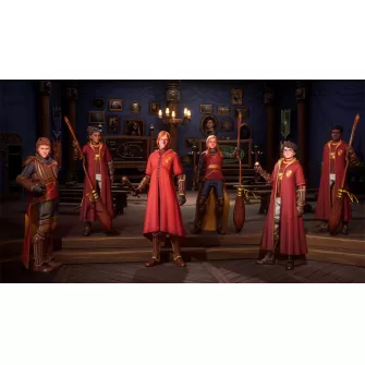 Nintendo Switch igre - Switch Harry Potter Quidditch Champions Deluxe Edition