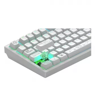 Gejmerske tastature - Dark Project ALU Terra Nova White - Wireless Gaming Keyboard (ANSI)