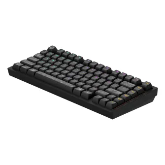 Gejmerske tastature - Dark Project ALU Terra Nova Black - Wireless Gaming Keyboard (ANSI)