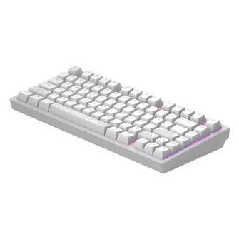 Gejmerske tastature - Dark Project ALU Terra Nostra White - Wired Gaming Keyboard (ANSI)