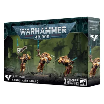 Warhammer figurice - Blood Angels: Sanguinary Guard