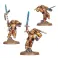 Blood Angels: Sanguinary Guard
