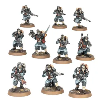 Warhammer figurice - A/Militarum: Death Corps of Krieg