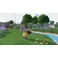 Switch Locomoto