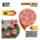 BLOSSOM TUFT - ROSITA/PINK