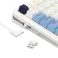 Antonium Pro, Wired&2.4G&BT Keyboard