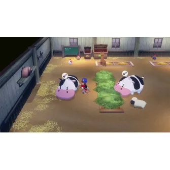 Nintendo Switch 2 igre - Switch 2 STORY OF SEASONS: Grand Bazaar