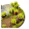 TUFTS ight Green Shrub TUFT
