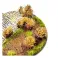 TUFTS- Marron / Brown Shrub TUFT