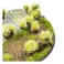 White Green Shrub TUFT
