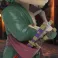 One Piece Freeny's Hidden Dissectibles Wanted Series - Zoro