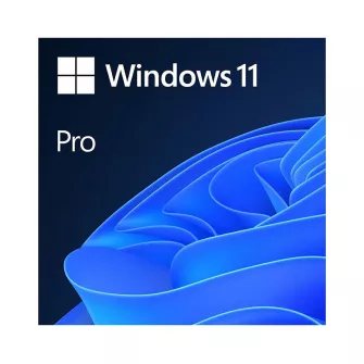 Windows & Office - Windows 11 Pro FPP 64-bit (HAV-00164) 