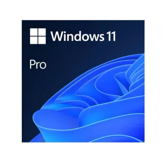 Windows & Office - Windows 11 Pro GGK Eng Intl (4YR-00316) 