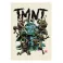 Turtles Art Print