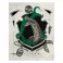 Harry Potter Art Print : Slytherin