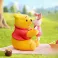 Vinnie The Pooh - Carefree Winnie The Pooh Series Blind Box (Single)