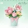 Loz - Roses
