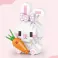 Loz - Rabbit