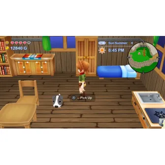 Nintendo Switch igre - Switch Harvest Moon: The Lost Valley & Skytree Village - Collector's Edition