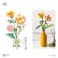 Loz - California Poppy and Begonia