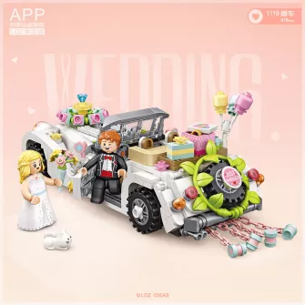 Kockice za sklapanje - Loz - Wedding Car