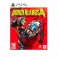 PS5 Borderlands 4