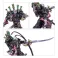 Emperor;s Children: Lucius the Eternal