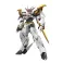 HG Amplified IMGN Ryuoumaru