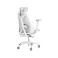 SL400C ROG DESTRIER Core Ergo Gaming stolica bela 