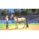 Switch Barbie: Horse Trails