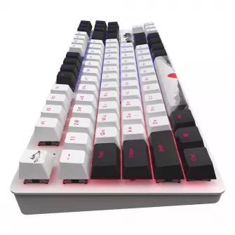 Gejmerske tastature - Dark Project One - 87 Fuji - RGB ANSI (ENG/UA) - EOL