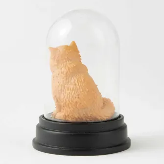 Ukrasne figure - Harry Potter - Crookshanks Curiosity Cloche