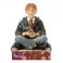 Harry Potter - Wizarding Whiskers - Ron Personality Pose