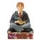 Harry Potter - Wizarding Whiskers - Ron Personality Pose