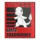 Pokemon Charmander 2