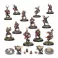 Blood Bowl: Bretonnian Team