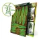 (L) Printed Plants - MUSA PALM / Banana (laser cut)