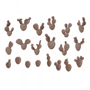 Plants: Nopal Cactus