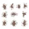 Special Efects Portal FX - 10 pieces
