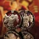 Transformers G1 - Autobots Vs. Decepticons Limited Edition Coin