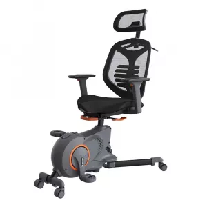 Kancelarijske stolice - Loctek Station Type Fitness Bicycle