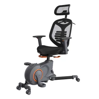 Kancelarijske stolice - Loctek Station Type Fitness Bicycle