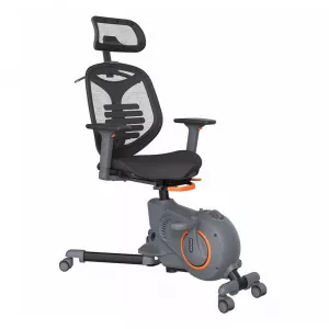 Kancelarijske stolice - Loctek Station Type Fitness Bicycle