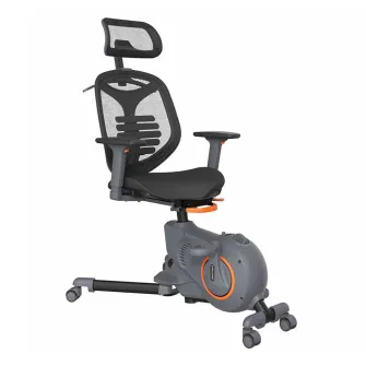 Kancelarijske stolice - Loctek Station Type Fitness Bicycle
