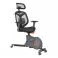 Loctek Station Type Fitness Bicycle