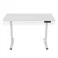 Loctek Lifting Table 120x60cm
