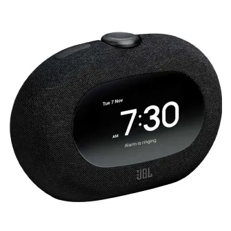 Bluetooth zvučnici - JBL RADIO SAT HORIZON 3 CRNI, 21876586