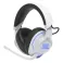 JBL QUANTUM 910P BELE  BT SLUSALICE 20638784